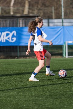 Bild 156 - wBJ Hamburger SV - Hertha BSC : Ergebnis: 2:1